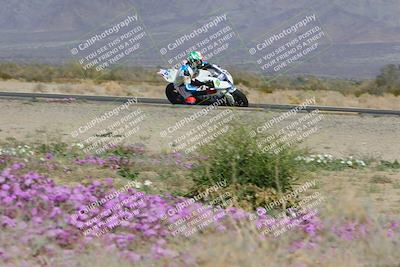 media/Feb-04-2023-SoCal Trackdays (Sat) [[8a776bf2c3]]/Turn 15 Inside Blooming (1050am)/